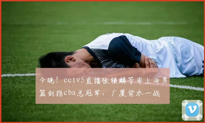 今晚！cctv5直播张镇麟等率上海男篮剑指cba总冠军，广厦背水一战