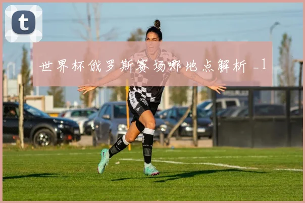 世界杯俄罗斯赛场哪地点解析 _1