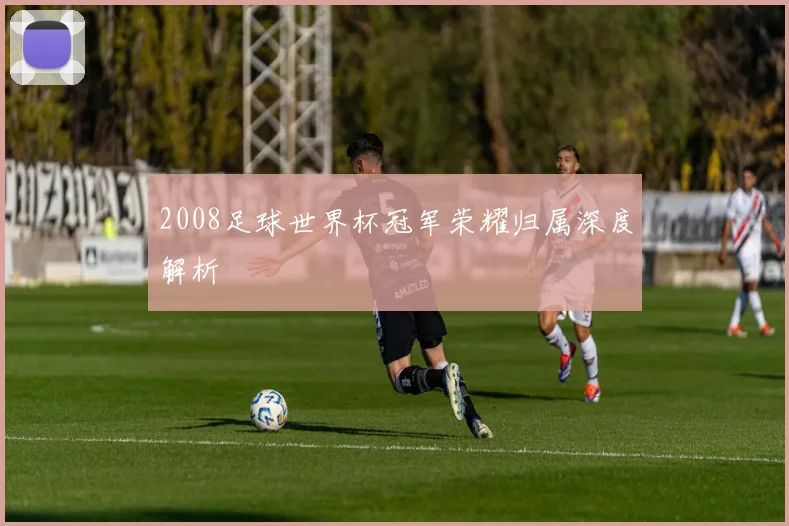 2008足球世界杯冠军荣耀归属深度解析