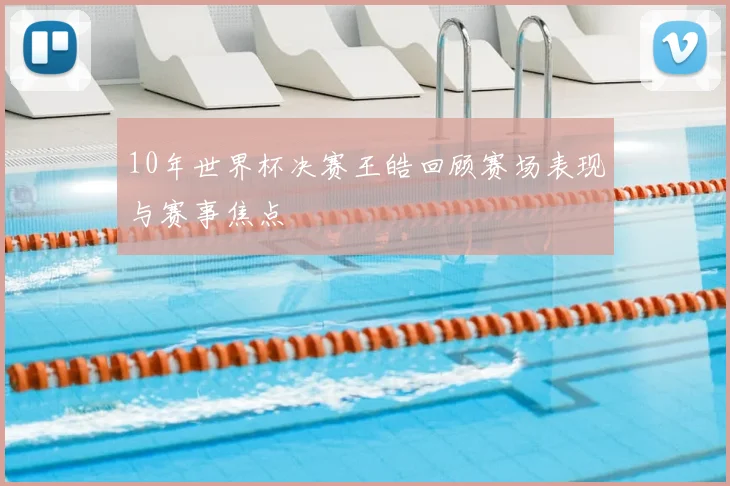 10年世界杯决赛王皓回顾赛场表现与赛事焦点