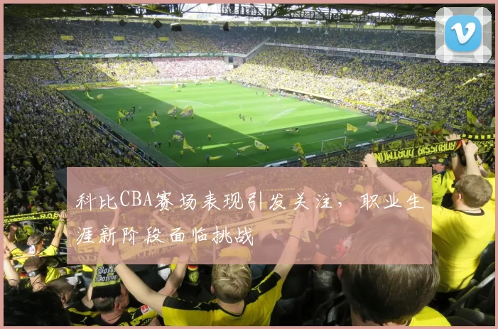 科比CBA赛场表现引发关注，职业生涯新阶段面临挑战