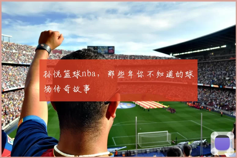 孙悦篮球nba,那些年你不知道的球场传奇故事