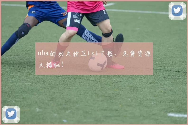 nba的功夫控卫txt下载，免费资源大揭秘！