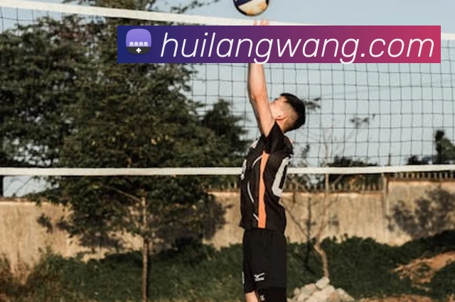 九游体育平台官网APP 封面图